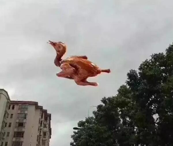 &ldquo;天鴿&rdquo;登陸了又怎樣，智彤印刷正常發放福利！