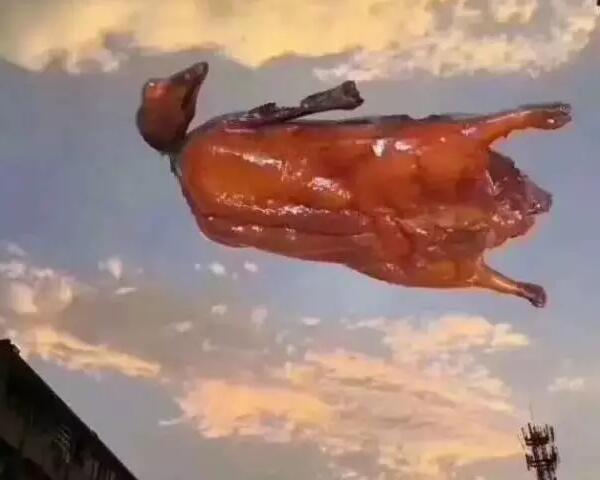 &ldquo;天鴿&rdquo;登陸了又怎樣，智彤印刷正常發放福利！