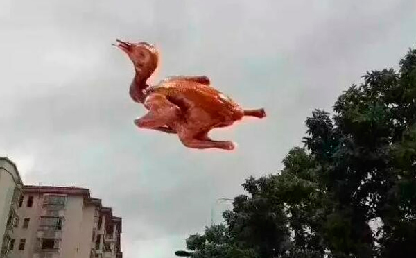 “天鴿”登陸了又怎樣，智彤印刷正常發(fā)放福利！